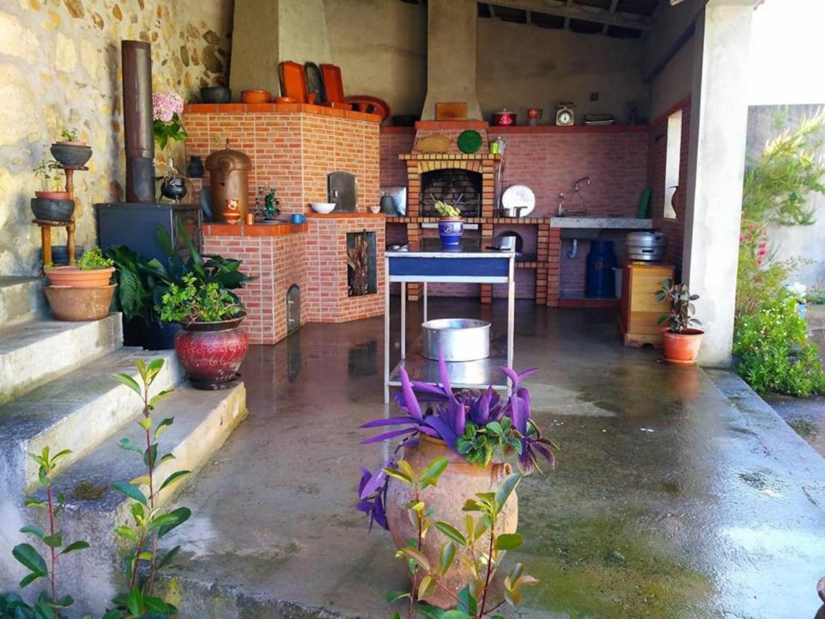 Casa Aurora Vila Penacova Exterior foto